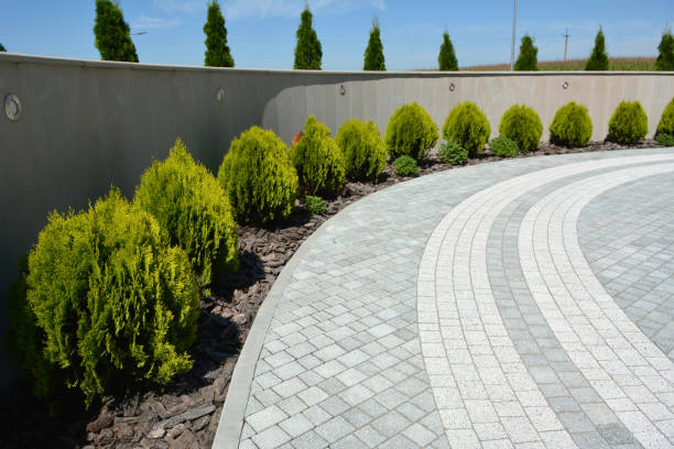 Best Driveway Paver Repair  in Cedar Rapids, IA